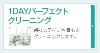 1DAYパーフェクトクリーニング∥歯のステインや歯石をクリーニングします。